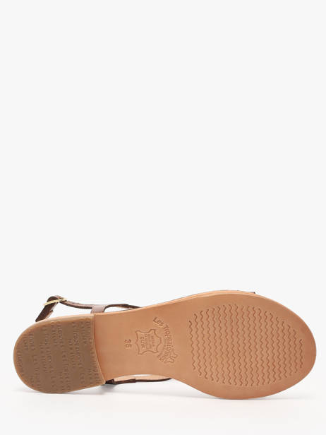 Flip Flops Hamoon In Leather Les tropeziennes Brown women HAMOON other view 4