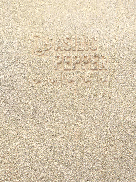 Shoulder Bag Houston Leather Basilic pepper Beige houston BHOU72 other view 5