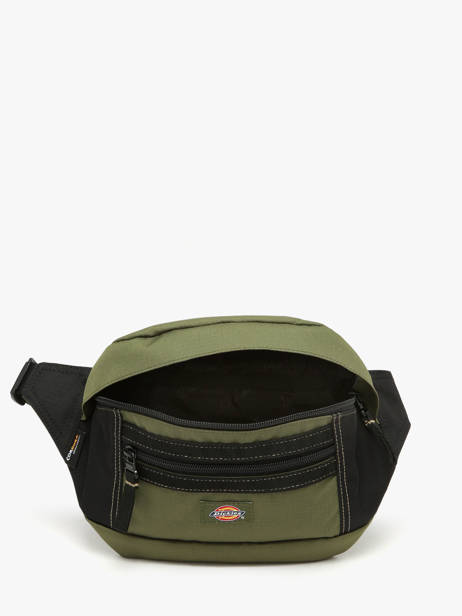 Ashville Belt Bag  Dickies Green ashville KD0A4Y1U other view 2