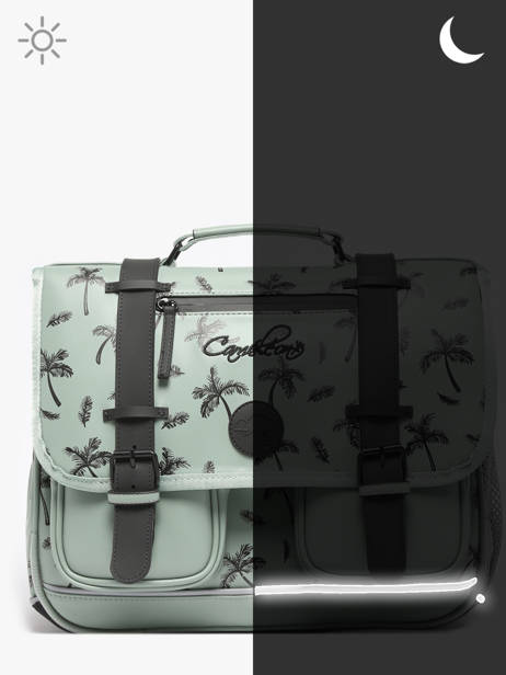 2-compartment Satchel Cameleon Green vintage north PBVWCA38 other view 7